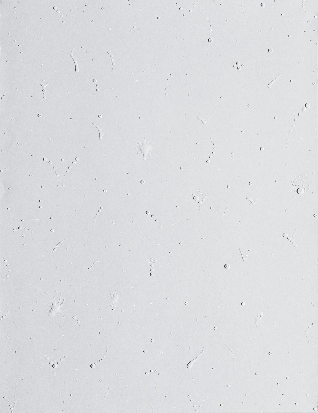 Posthumno (White in white I remember)