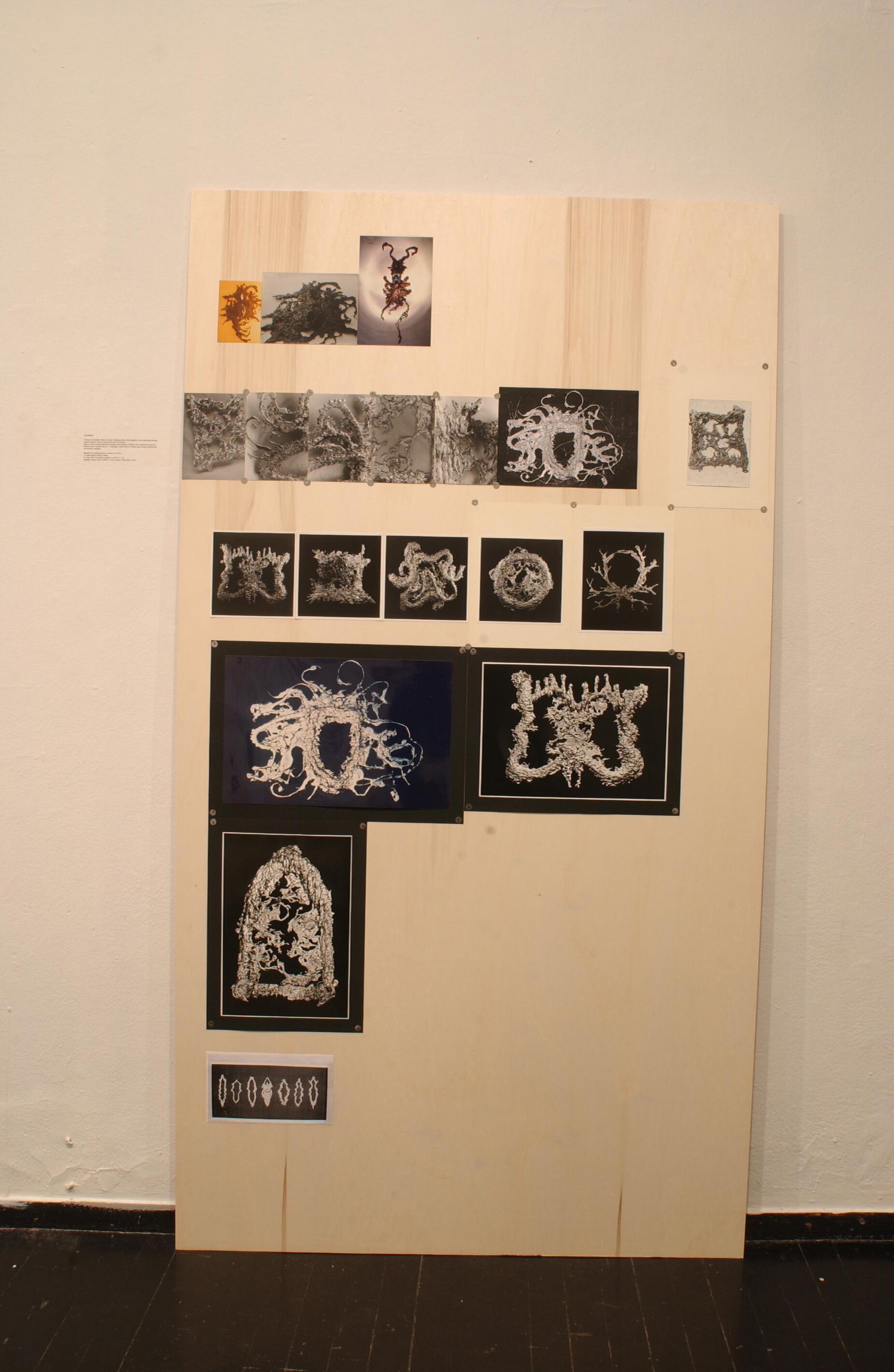DSC 3305