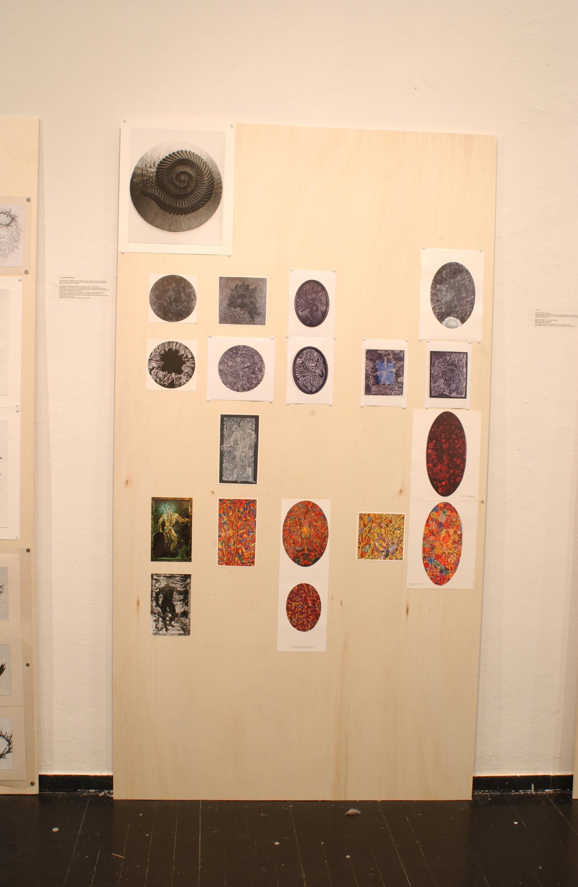 DSC 3334