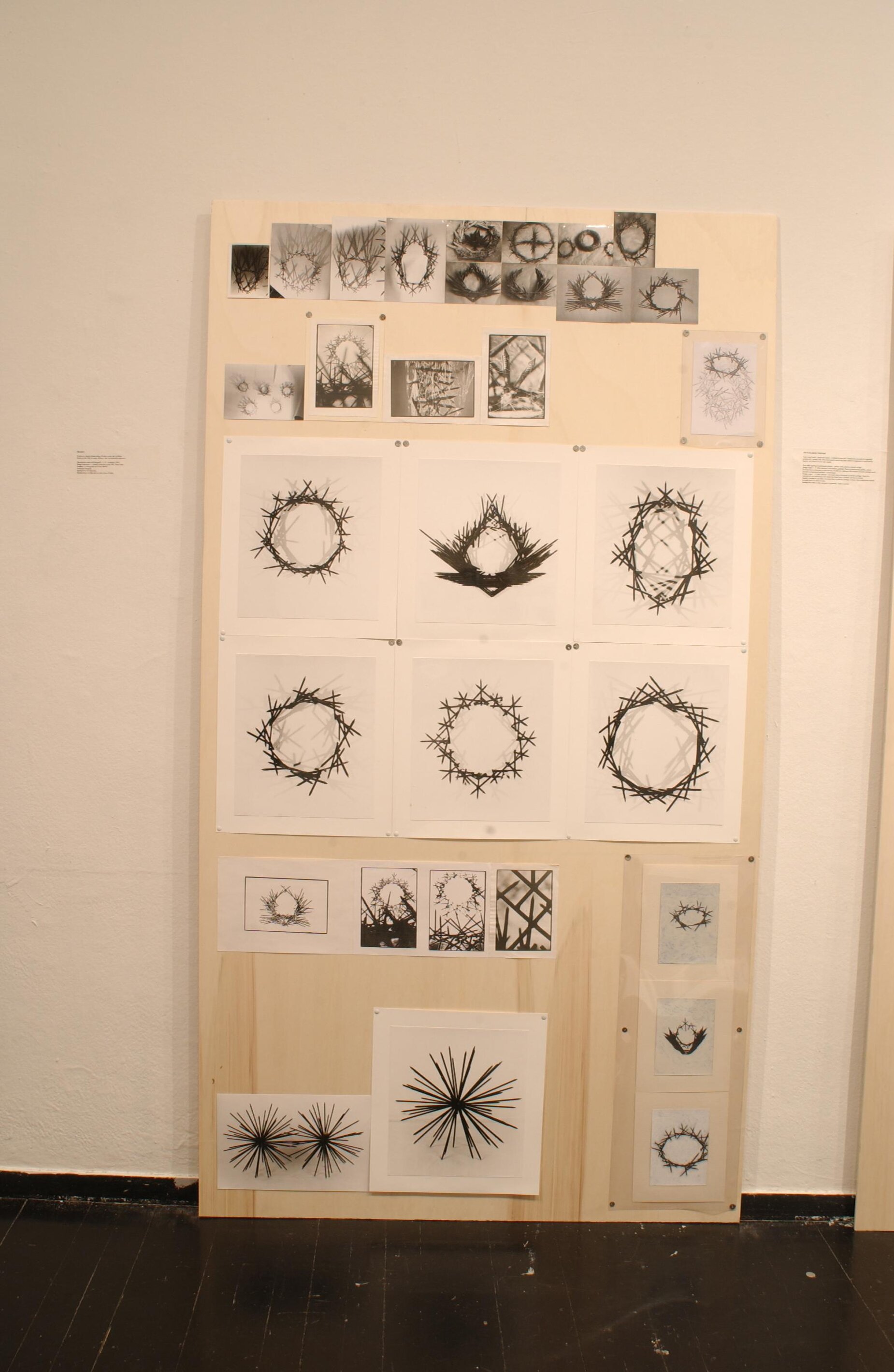 DSC 3335